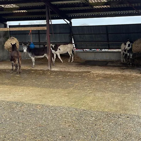 The Barn At The Old Rectory كيلكيني