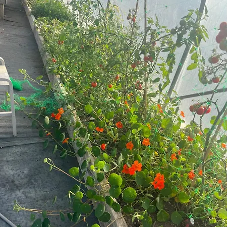 The Barn At The Old Rectory *