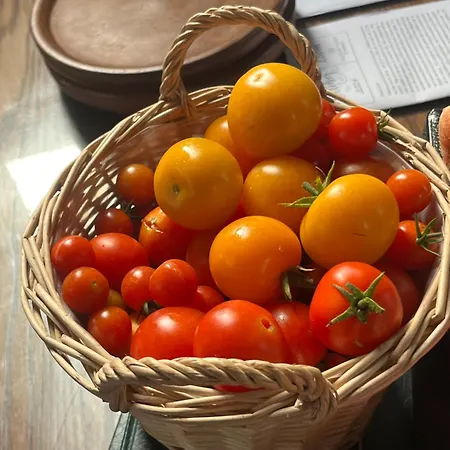 The Barn At The Old Rectory