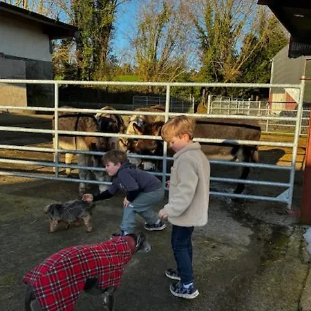 The Barn At The Old Rectory 펜션 킬케니