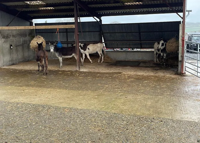 The Barn At The Old Rectory Kilkenny