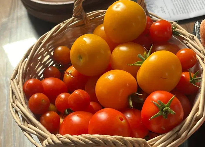 The Barn At The Old Rectory
