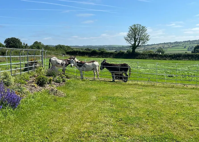 The Barn At The Old Rectory Dom wakacyjny