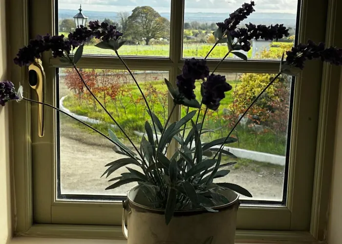 Dom wakacyjny The Barn At The Old Rectory Kilkenny