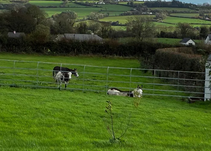 The Barn At The Old Rectory Kilkenny