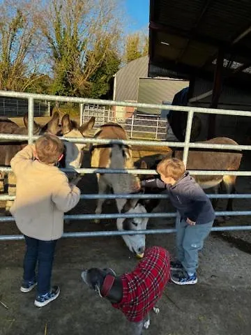 Dom wakacyjny The Barn At The Old Rectory *